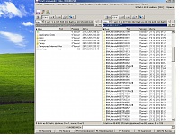 oaeeu-windows-xp-sp3.jpg