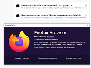 firefox_1f10mhlzo0.png
